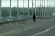 «Пляска» моста в Волгограде (скриншот с кадров видео. 2010 год)