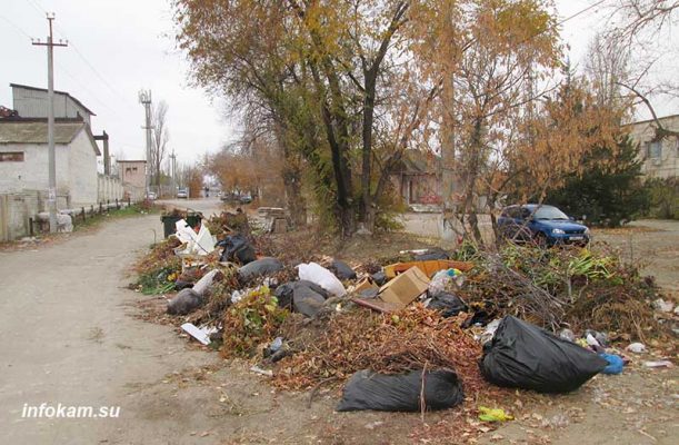 Две свалки на мусорных стоянках — на улицах Радищева и Стахановской