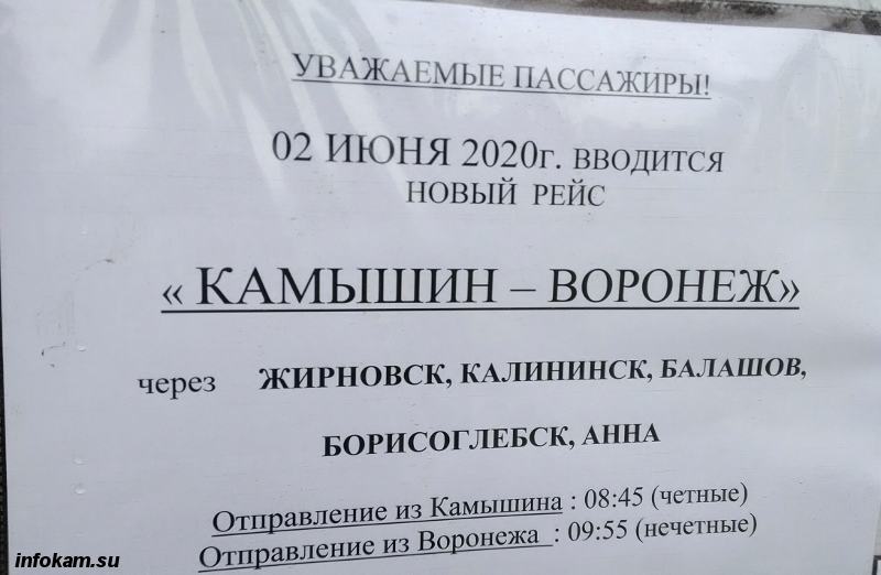 Расписание автовокзала камышин. Воронеж Камышин автобус. Автовокзал Камышин расписание автобусов. Воронеж-Камышин расписание автобусов. Автобус Саратов Камышин расписание автобусов.