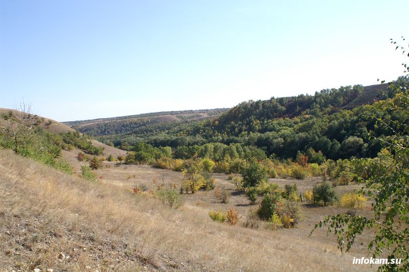 Щербаковский природный парк (из архива infokam.su)