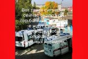 Группа ВКонтакте «Подсмотрено.Камышин» (https://vk.com/podkam777)