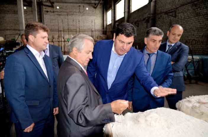 Волгоградский хлопок на ООО «Камышинский Текстиль»