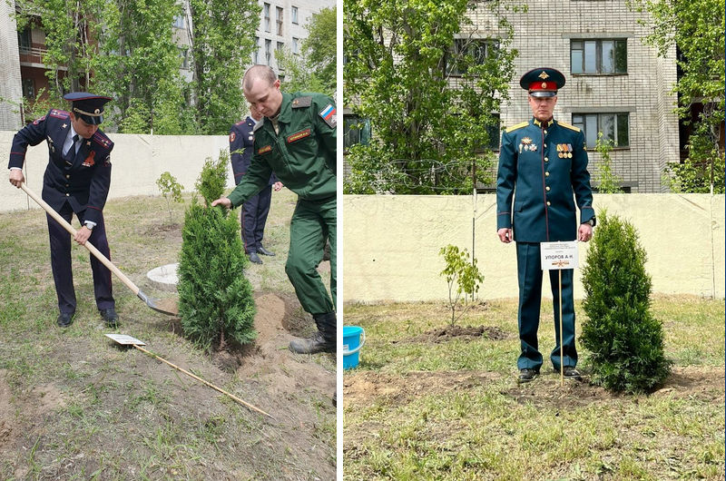 Военно следственные гарнизоны. Камышин военный Следственный комитет. Военно Следственный отдел Камышин. День военного Следственного комитета. Начальник ВСО Камышинского гарнизона.