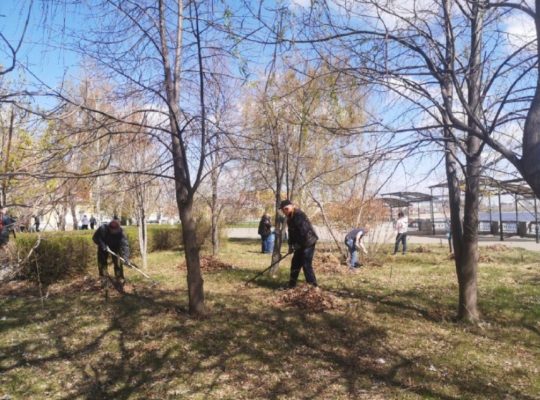 Субботник в Камышине