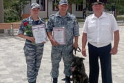 кинологи