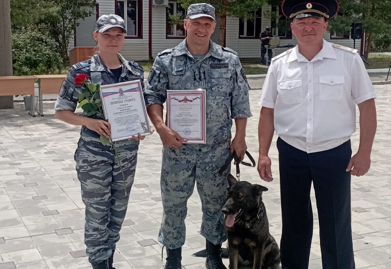 кинологи